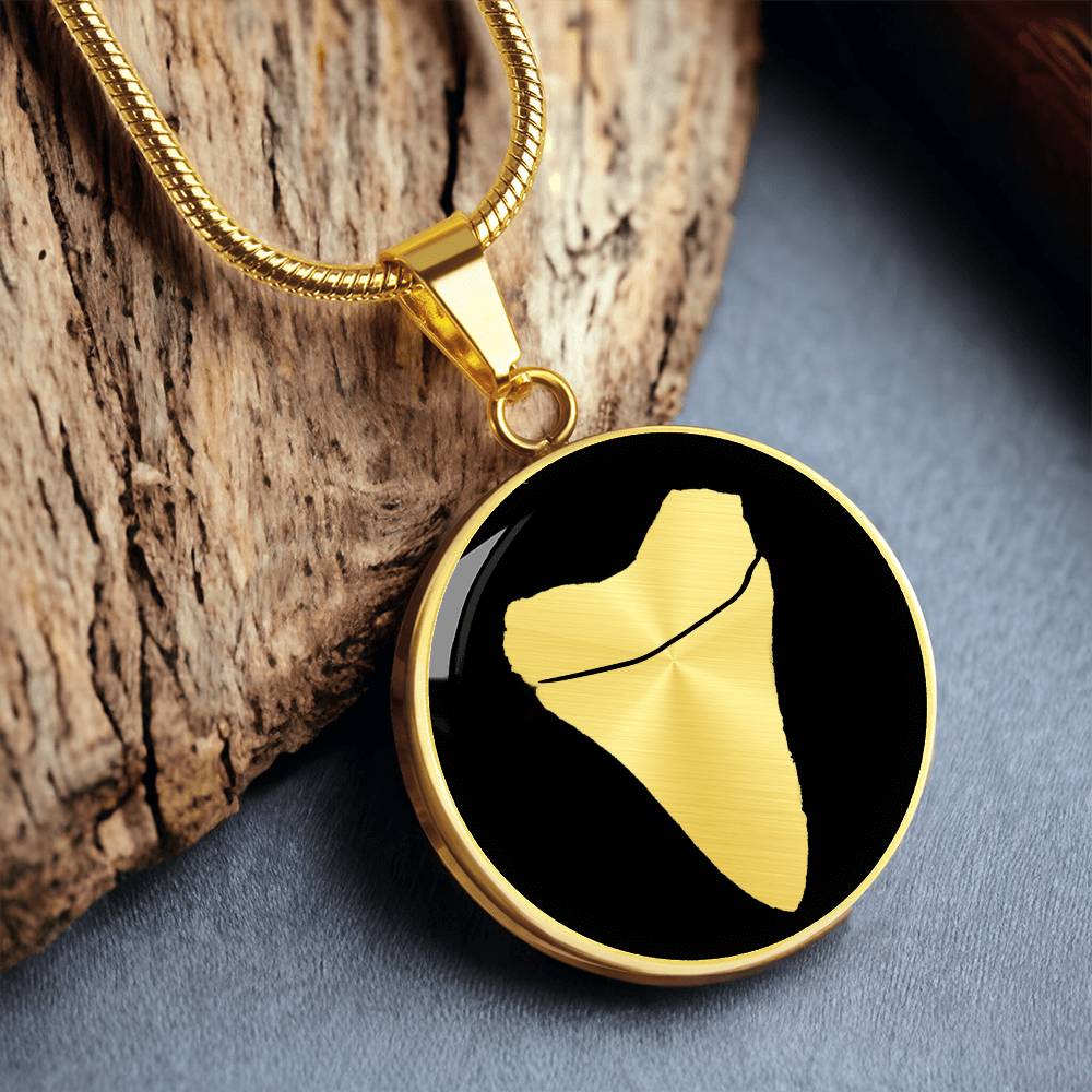 Megalodon Tooth Necklace