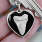 Megalodon Tooth Heart Keychain