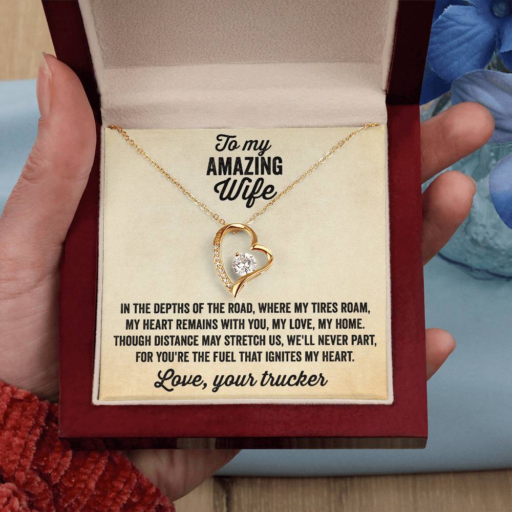 Heart Necklace - Gift from truck driver to his amazing wife