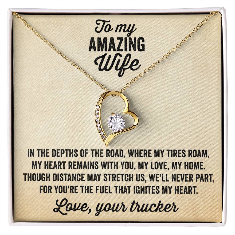 Heart Necklace - Gift from truck driver to his amazing wife