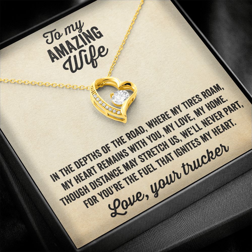 Heart Necklace - Gift from truck driver to his amazing wife