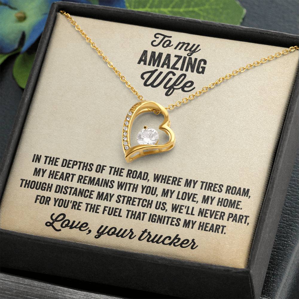 Heart Necklace - Gift from truck driver to his amazing wife