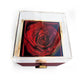 Rotating Rose and Necklace Set