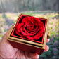 Rotating Rose and Necklace Set